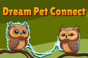Dream Pet Connect